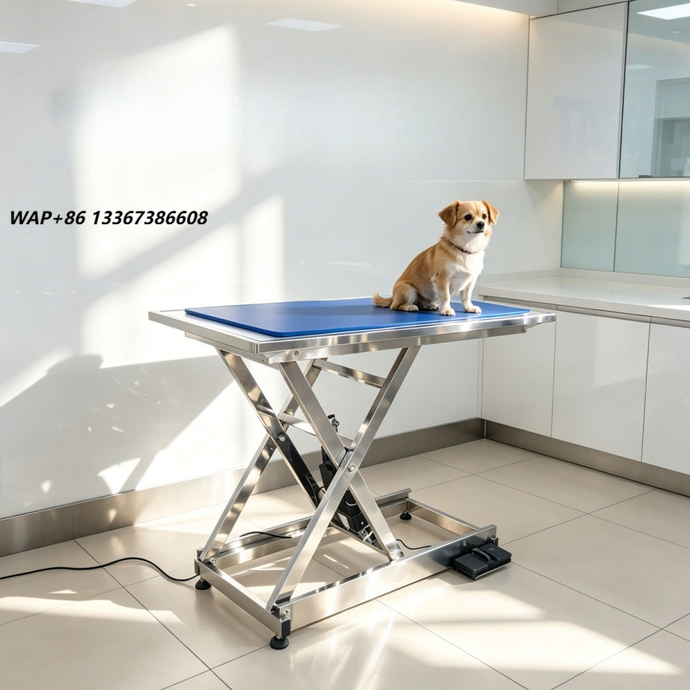 Veterinary X-Ray - ⚠ Mesa de examen veterinario con