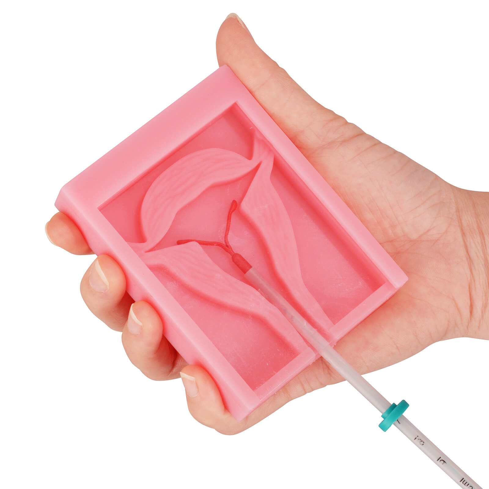 Modelo de Entrenamiento para C - Medical Laboratory Science reseña y precio