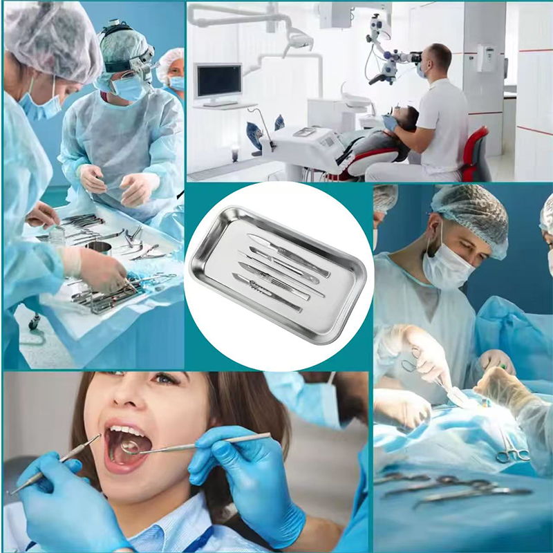 Bandeja de acero inoxidable pa - Medical Lab Instruments reseña y precio