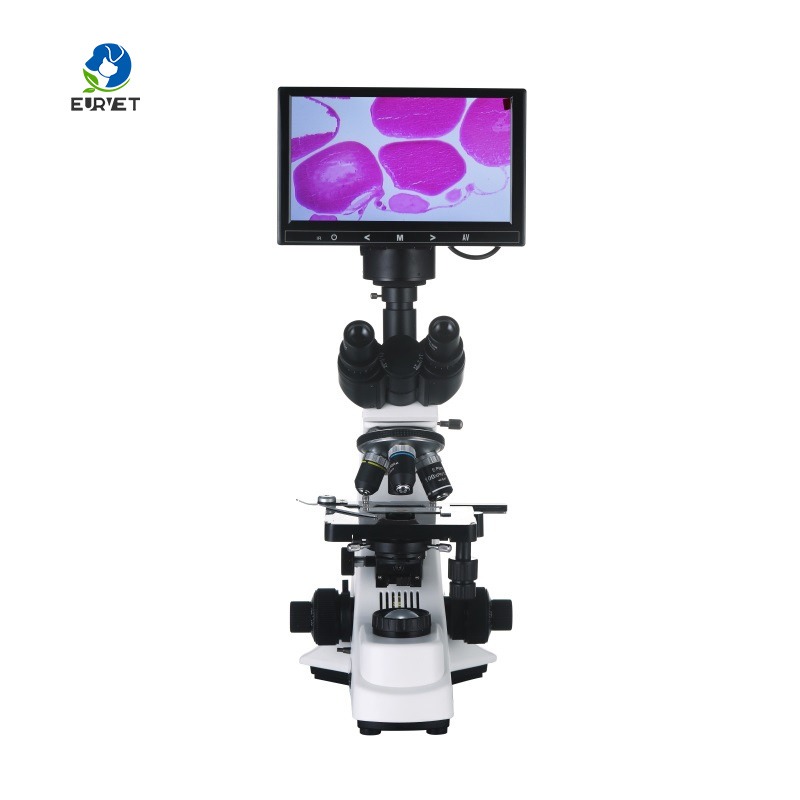 Microscopio Biológico Digital  - Medical Laboratory Scientist reseña y precio