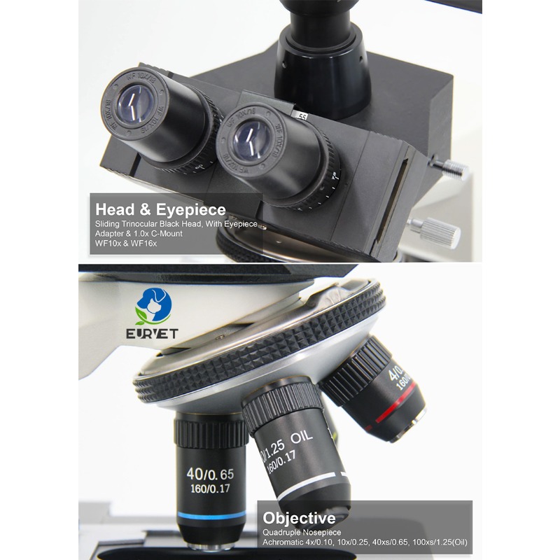 Microscopio Biológico Digital  - Medical Laboratory Scientist reseña y precio
